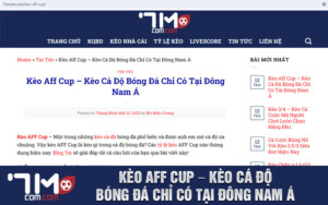 Kèo Aff Cup – Kèo Cá Độ Bóng Đá Chỉ Có Tại Đông Nam Á
